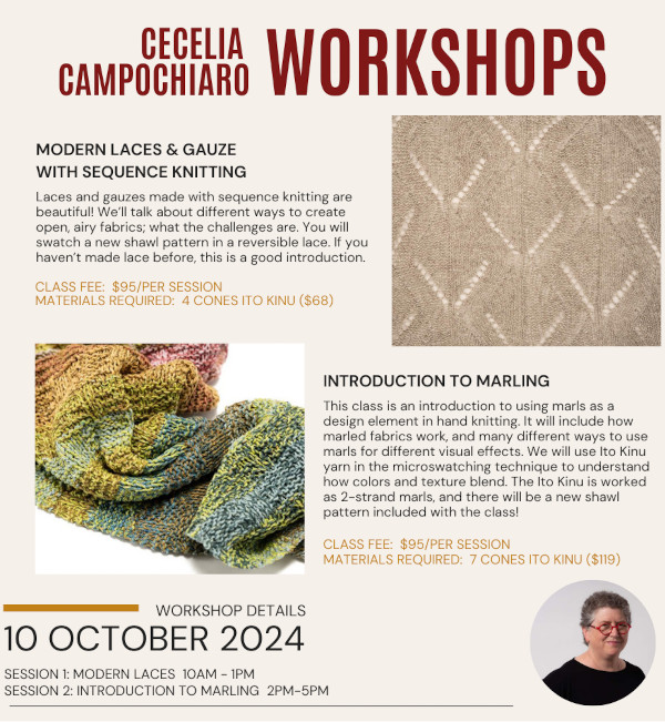 Cecelia Campochiaro Workshops