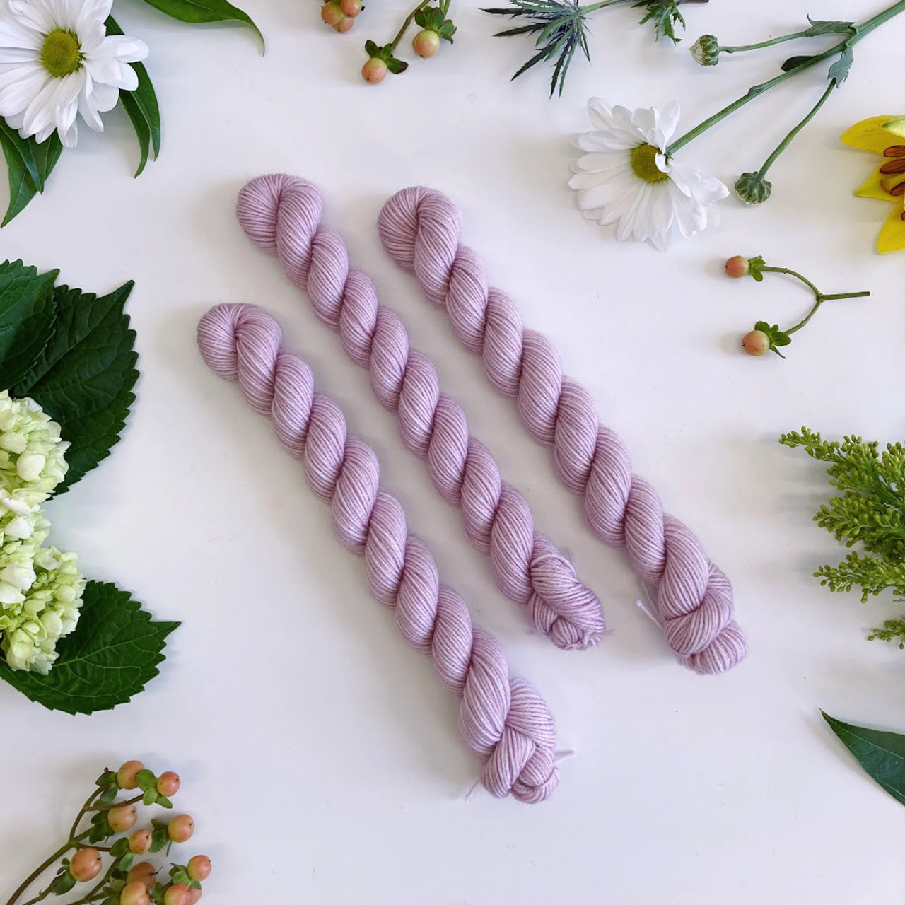 Coates & Co, Studio DK