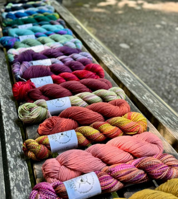 Spincycle Dyed in the Wool Yarn