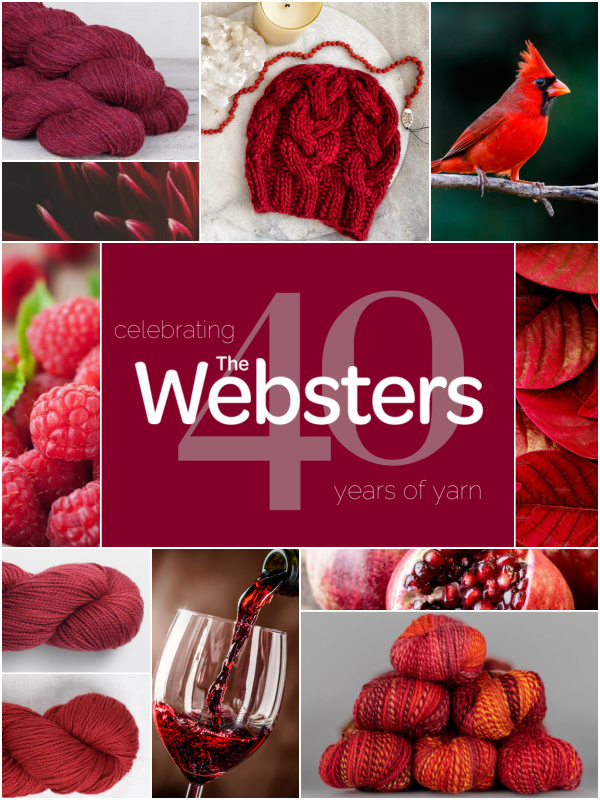 The Websters 40 Years of Yarn